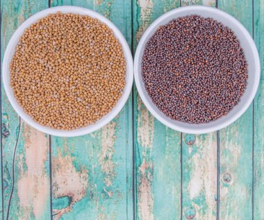 Sarı ve kahverengi hardal tohumu