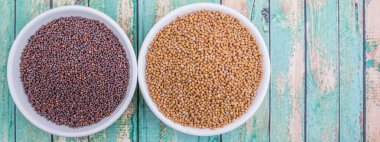 Sarı ve kahverengi hardal tohumu