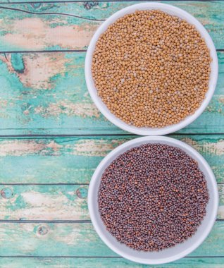 Sarı ve kahverengi hardal tohumu