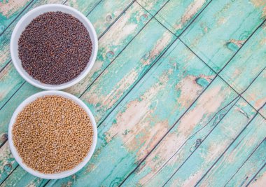 Sarı ve kahverengi hardal tohumu