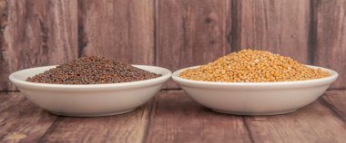 Sarı ve kahverengi hardal tohumu