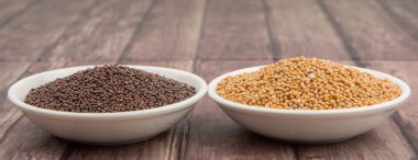 Sarı ve kahverengi hardal tohumu