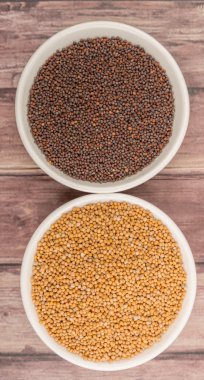 Sarı ve kahverengi hardal tohumu