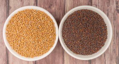 Sarı ve kahverengi hardal tohumu