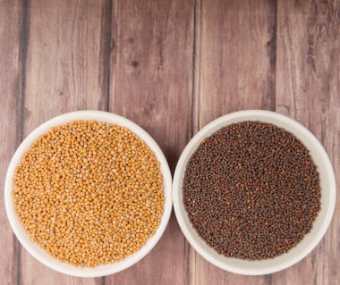 Sarı ve kahverengi hardal tohumu