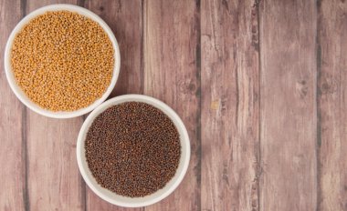 Sarı ve kahverengi hardal tohumu