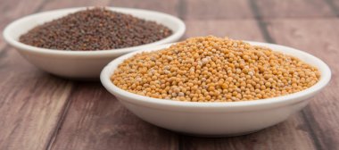 Sarı ve kahverengi hardal tohumu