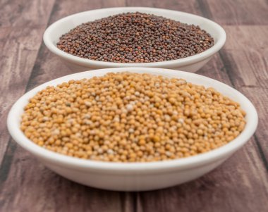 Sarı ve kahverengi hardal tohumu