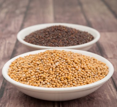 Sarı ve kahverengi hardal tohumu