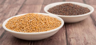 Sarı ve kahverengi hardal tohumu