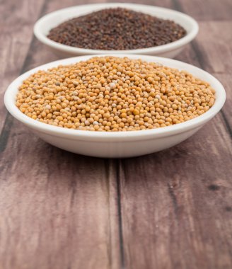 Sarı ve kahverengi hardal tohumu