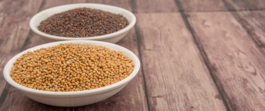 Sarı ve kahverengi hardal tohumu