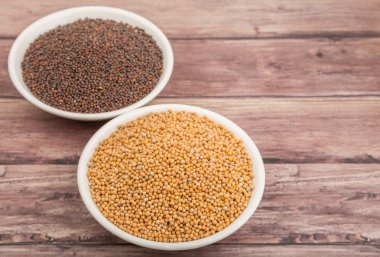 Sarı ve kahverengi hardal tohumu