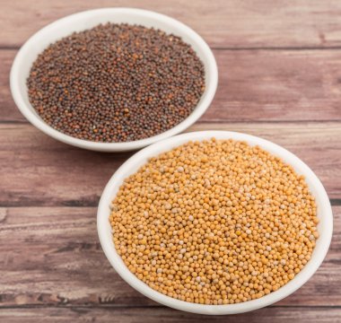 Sarı ve kahverengi hardal tohumu