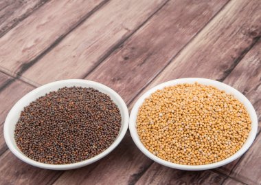 Sarı ve kahverengi hardal tohumu