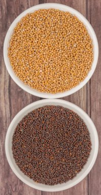 Sarı ve kahverengi hardal tohumu