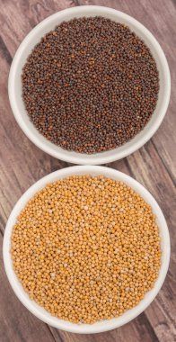 Sarı ve kahverengi hardal tohumu