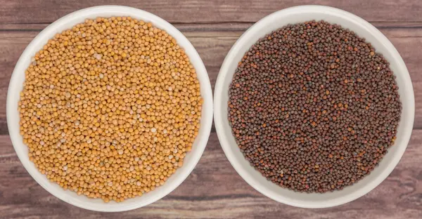 Sarı ve kahverengi hardal tohumu