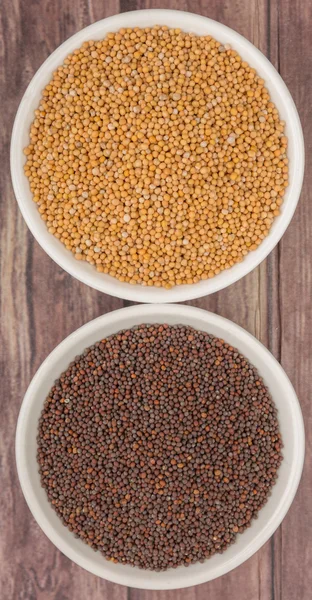 Sarı ve kahverengi hardal tohumu