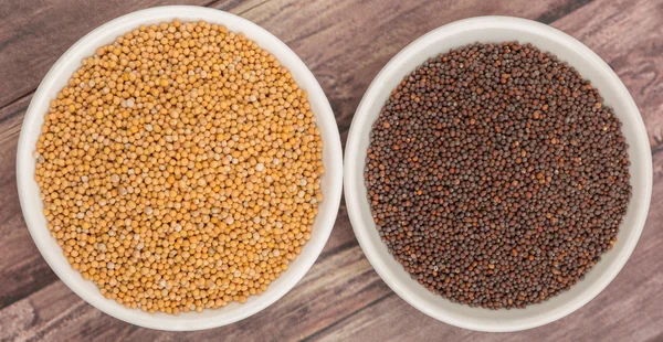 Sarı ve kahverengi hardal tohumu