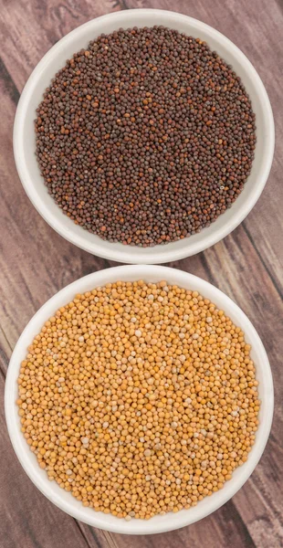 Sarı ve kahverengi hardal tohumu