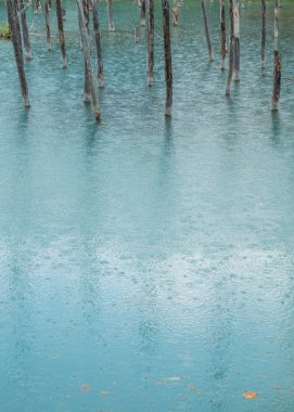 Mavi Göl, Hokkaido, Japonya