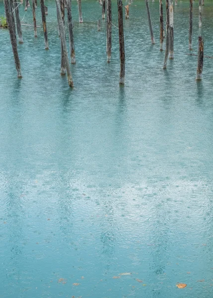 Blue Pond, Hokkaido, Japão — Fotografia de Stock