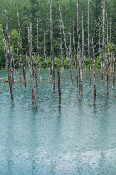 Estanque azul, Hokkaido, Japón — Foto de Stock