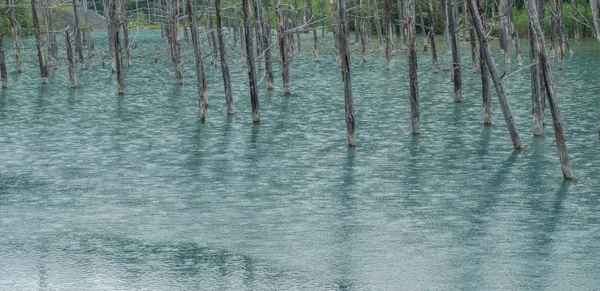 Estanque azul, Hokkaido, Japón — Foto de Stock