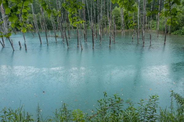 蓝色池塘，北海道，日本 — 图库照片