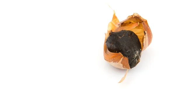 Caramelized cloves of black garlic — Stock Photo, Image