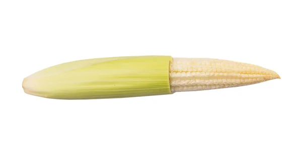 Baby Corns — Stock Photo, Image