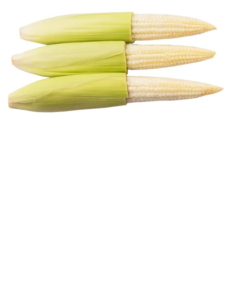 Baby Corns — Stock Photo, Image