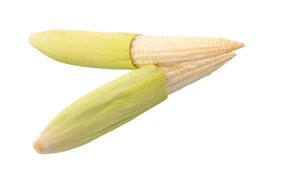 Baby Corns — Stock Photo, Image