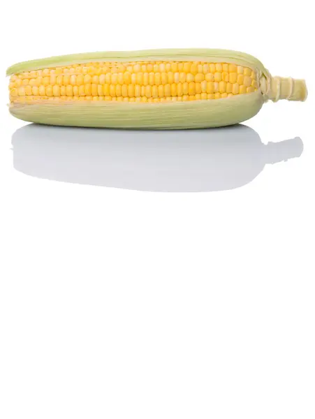Kukurydza Białym Tle — Zdjęcie stockowe