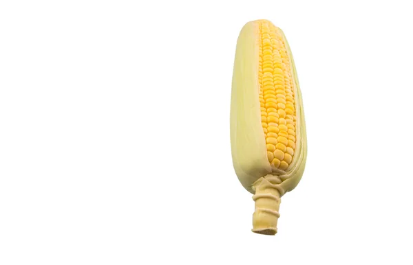 Sweet Corn White Background — Stock Photo, Image