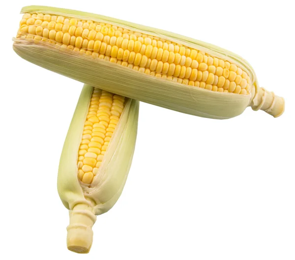 Sweet Corn — Stock Photo, Image