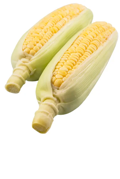 Sweet Corn White Background — Stock Photo, Image