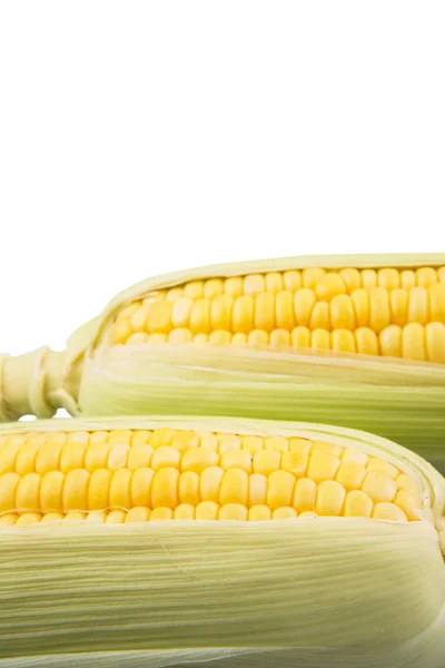 Sweet Corn — Stock Photo, Image