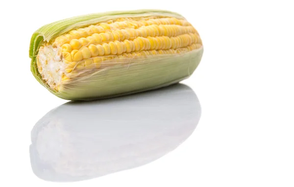 Sweet Corn White Background — Stock Photo, Image