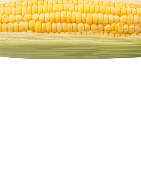 Sweet Corn White Background — Stock Photo, Image