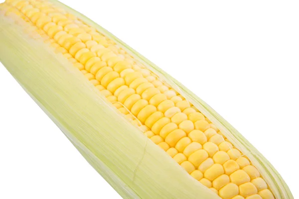 Kukuřice Bílém Pozadí — Stock fotografie