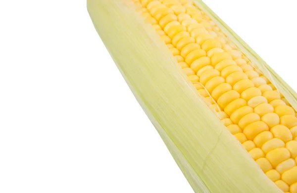 Kukurydza Białym Tle — Zdjęcie stockowe