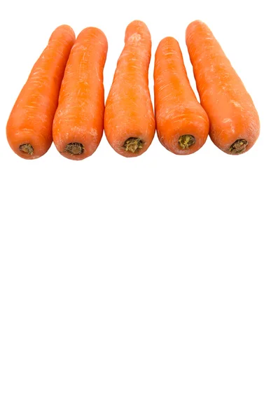 Carrot Vegetables — Stock Photo, Image