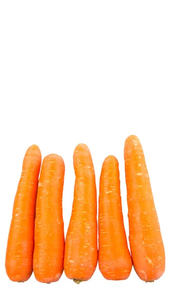 Овощи моркови — стоковое фото