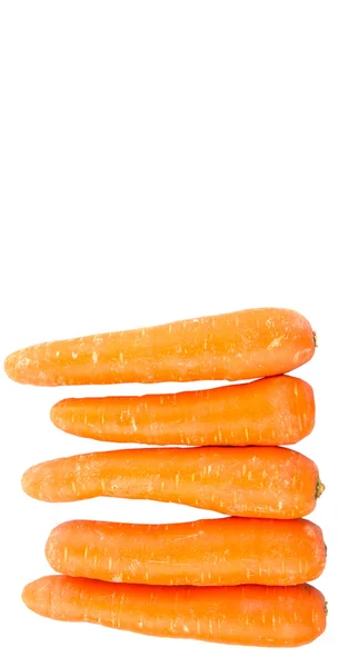 Carrot White Background — Stock Photo, Image