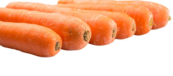 Овощи моркови — стоковое фото