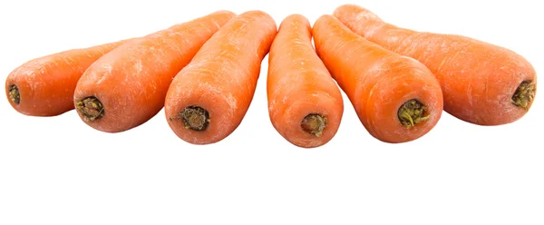 Carrot White Background — Stock Photo, Image