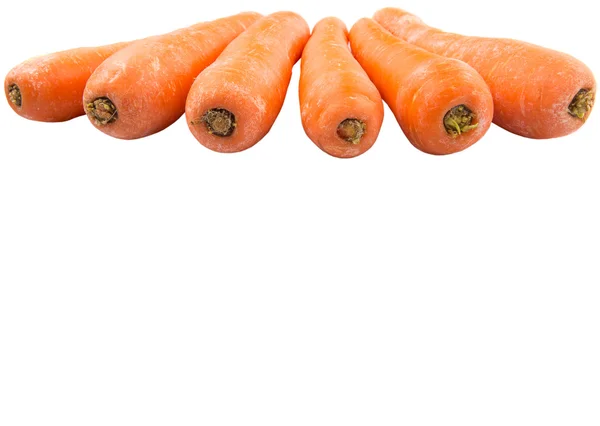 Verdure di carota — Foto Stock