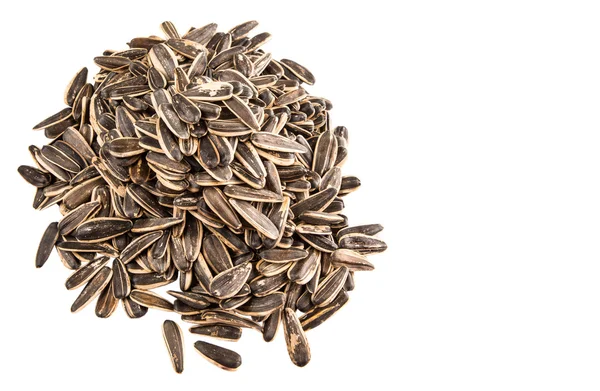 Sunflower Seeds — Stock Photo, Image